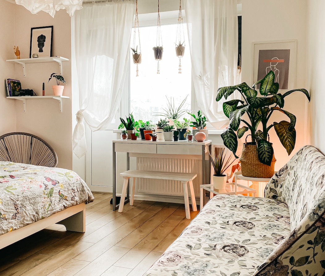 Five Ideas for Plant Decoration at Your Home